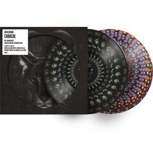 Disclosure - Caracal LP LP